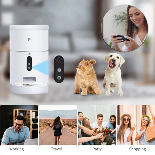 NAOMI Automatic Smart Feeder