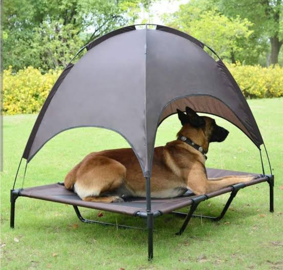 Cooling Dog Bed with UV-Blocking Canopy