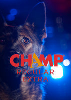 Champ regular extra blue dog 20 kg