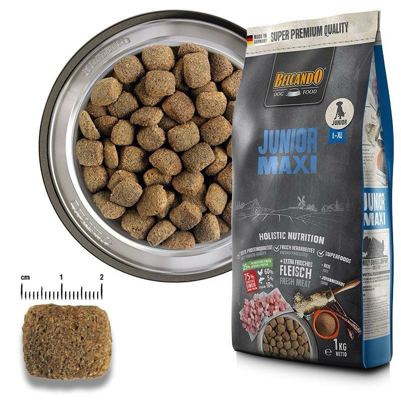 BELCANDO Junior Maxi - 4kg