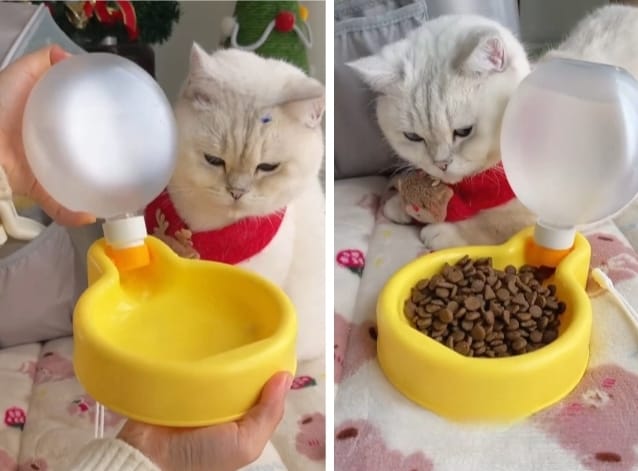 Water Dispenser Bottle Balloon & bowl