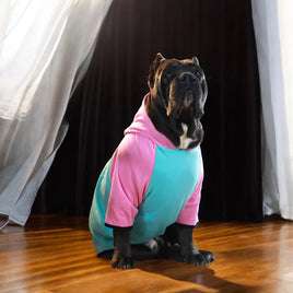 Pet Moda Streetwear Hoodie Multi-colors options-5