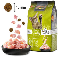 Leonardo Cat Dry Food Adult GF with Poultry 300 g