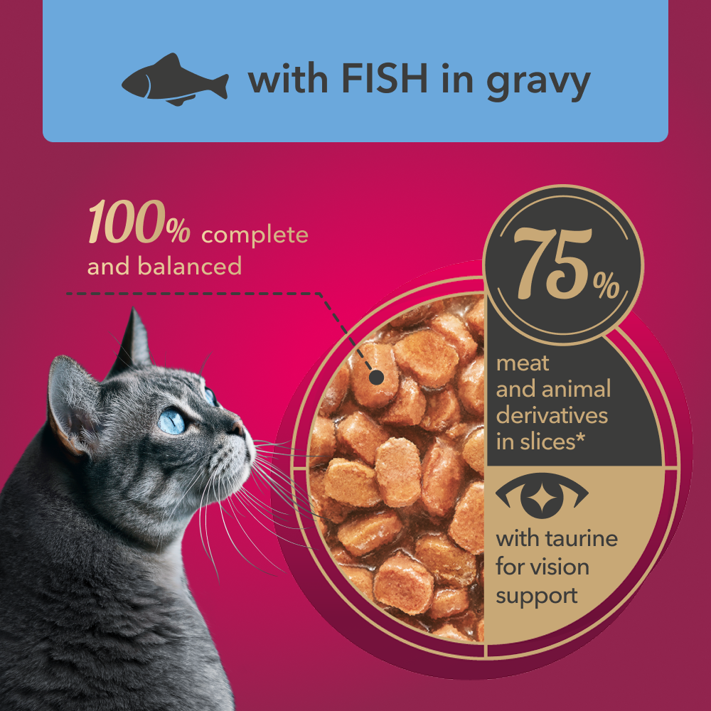 My Love Cat Wet Food Fish in Gravy - Pouch 85 gm
