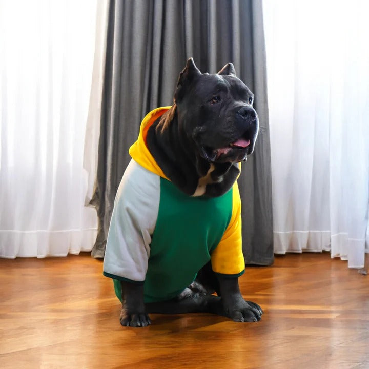 Pet Moda Streetwear Hoodie Multi-colors options-10