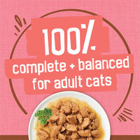 FRISKIES pate With Salmon In Savory Gravy Wet Cat Food 156g