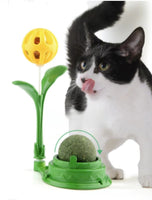 Catnip Toy with Ball