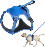 No Pull Dog Harness with Retractable Leash 2 in 1