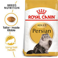 Royal Persian Adult (4k)