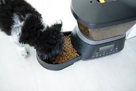 Automatic Digital Feeder with Timer