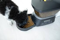 Automatic Dog and Cat Feeder