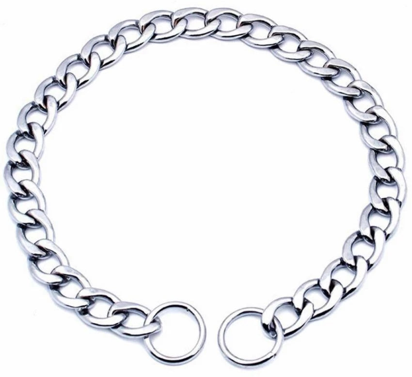 silver dog chain