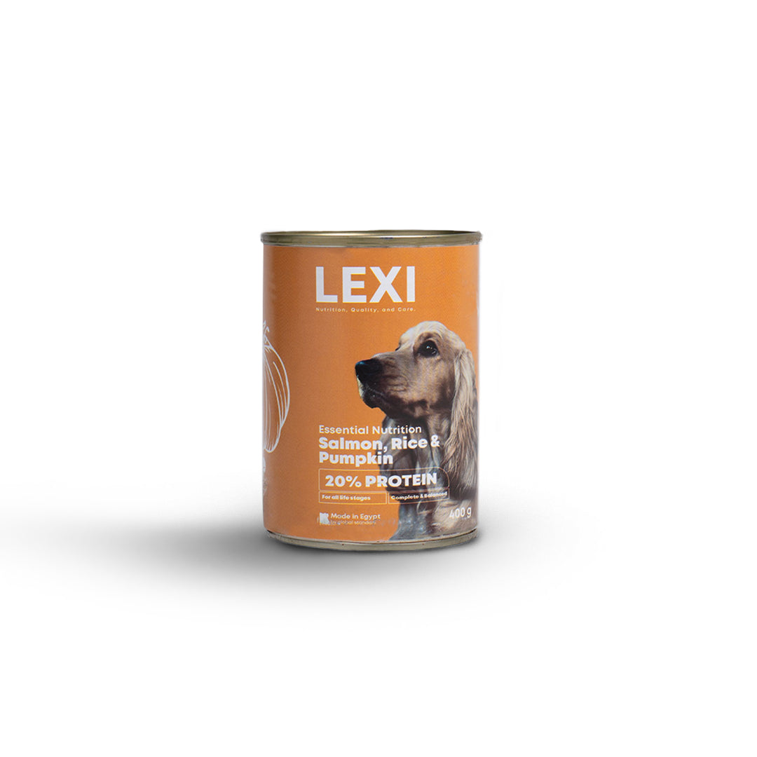 LEXI Dog Wet Food  Salmon, rice and Pumpkin  - 400g