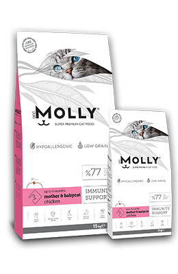 Molly Mother & Baby Cat Food 2KG