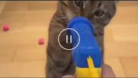 Ball Shooting Gun for Cats