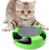 Catch The Mouse Cat's Play Toy