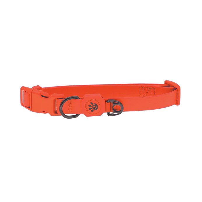 DOCO® Jelly Bean Nylon Dog Collar