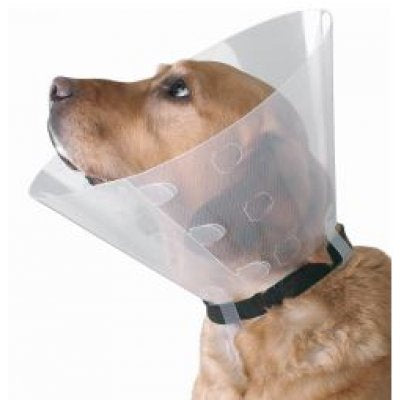 Buster Clic Collar 30 cm