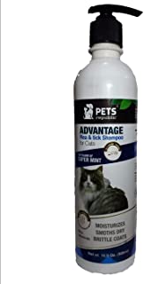 Shampoo for ticks and fleas - mint scent - for cats