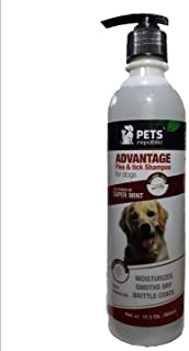 Shampoo for ticks and fleas - mint scent - for dogs