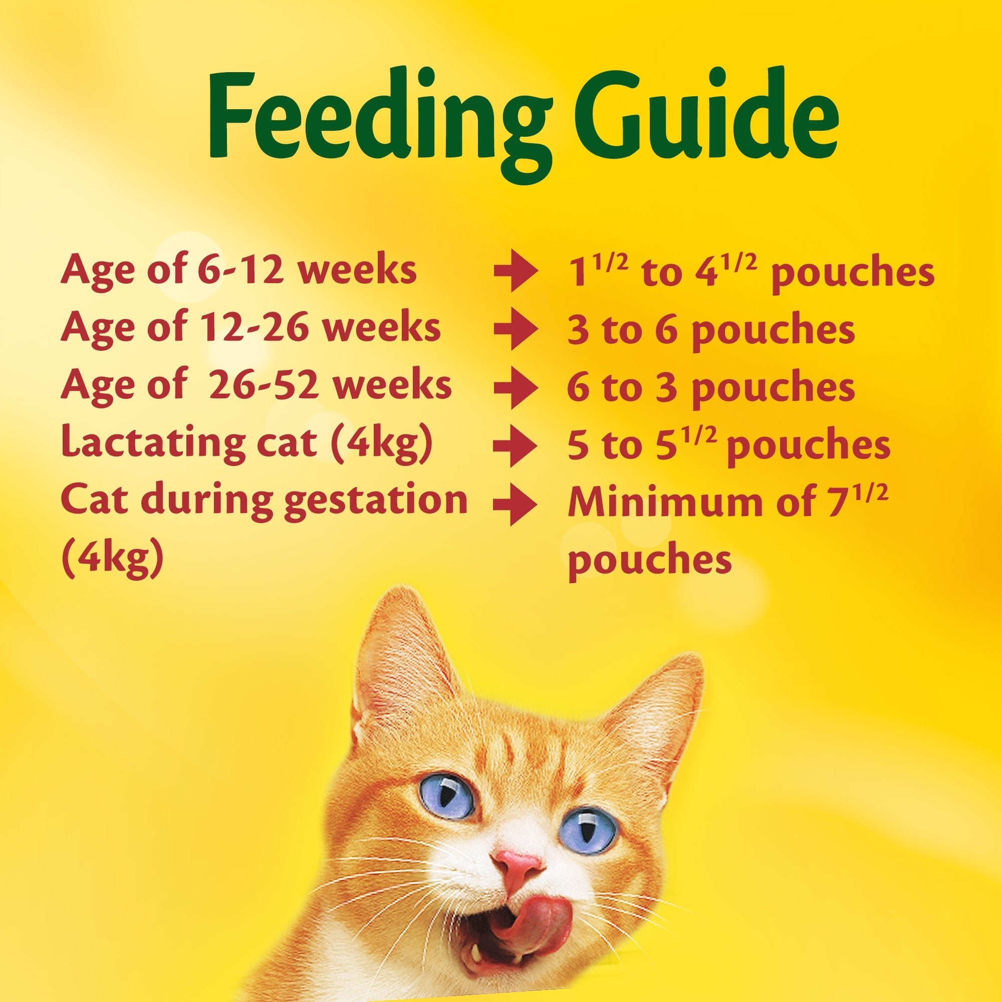 Purina Friskies Kitten Chicken Chunks in Gravy Wet Cat Food Pouch 85g