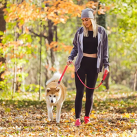 Doco Nylon Leash With Hand