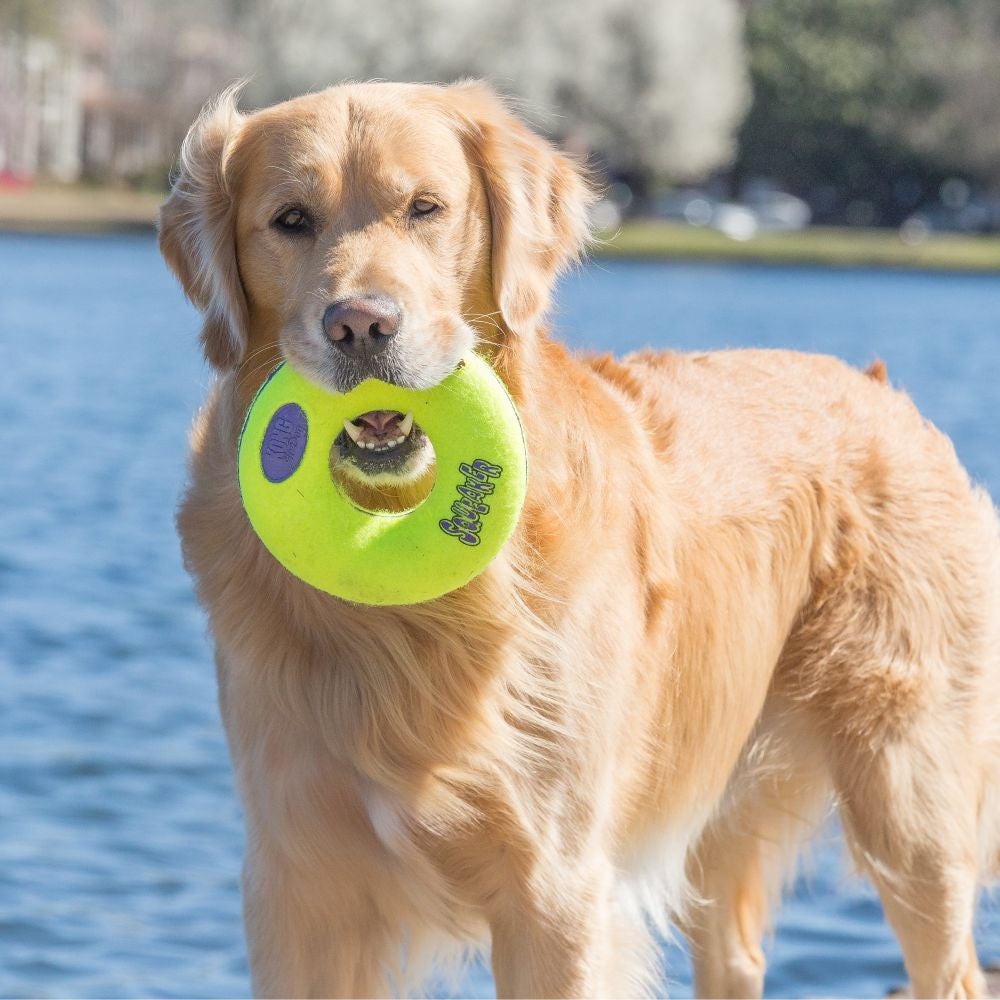 KONG®Airdog® Squeaker Bone