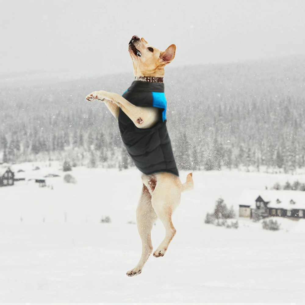 Waterproof Dog Coat Vest