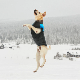 Waterproof Dog Coat Vest