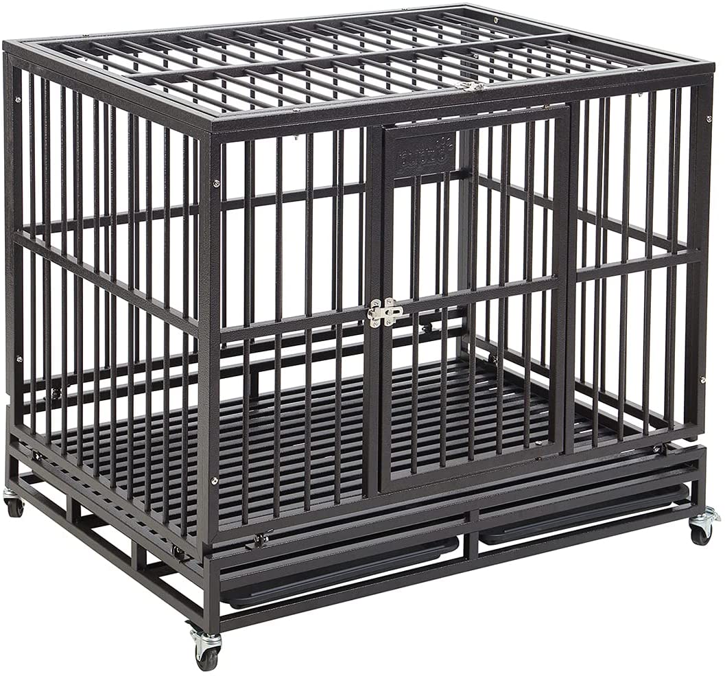 Dog Steel Box