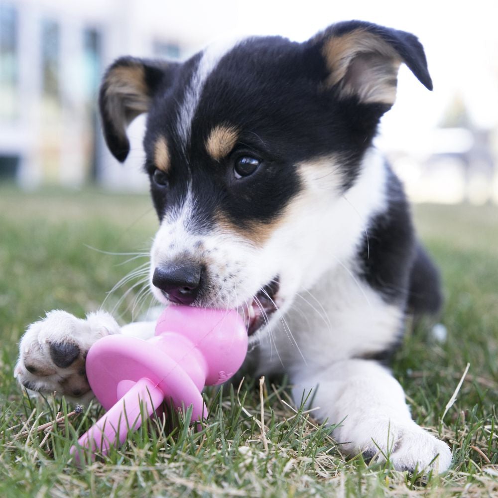 KONG® Binkie™ Pink