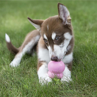 KONG Puppy Easy Treat™