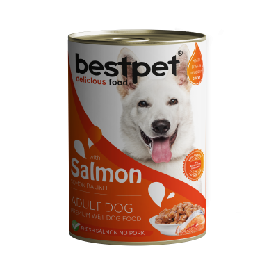 Best Pet Adult Dog Salmon - Can 400g
