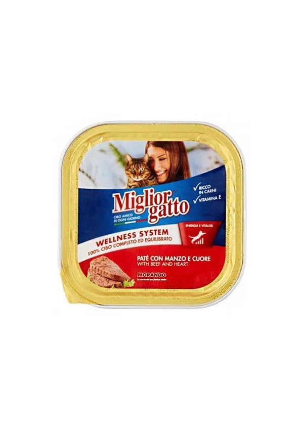 Miglior Gatto