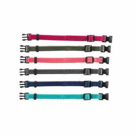 JUNIOR SET OF PUPPY COLLARS